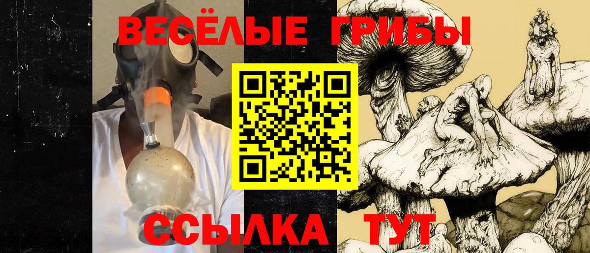 Аксай  Псилоцибиновые грибы Cubensis  Псилоцибиновые грибы ЛСД  Вход с VPN 