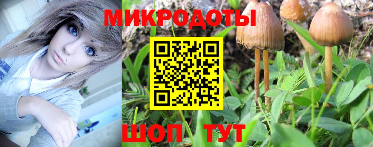 Псилоцибиновые грибы Magic Shrooms Аксай
